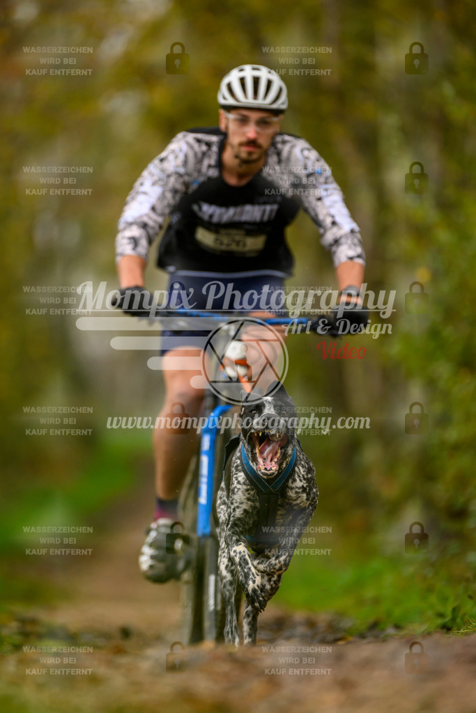 MompixPhotography_20TSB_E6_Bike-33 | PayLife