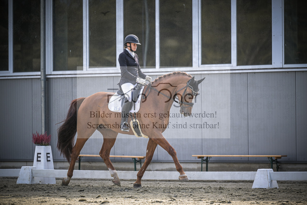 DOS_0906 | Entdecke hochwertige Reitturnierfotos von Foto Oger. Professionell, emotional und authentisch – jetzt Lieblingsmomente im Shop bestellen.Deutschlandweite Turnierfotografie. - Realisiert mit Pictrs.com