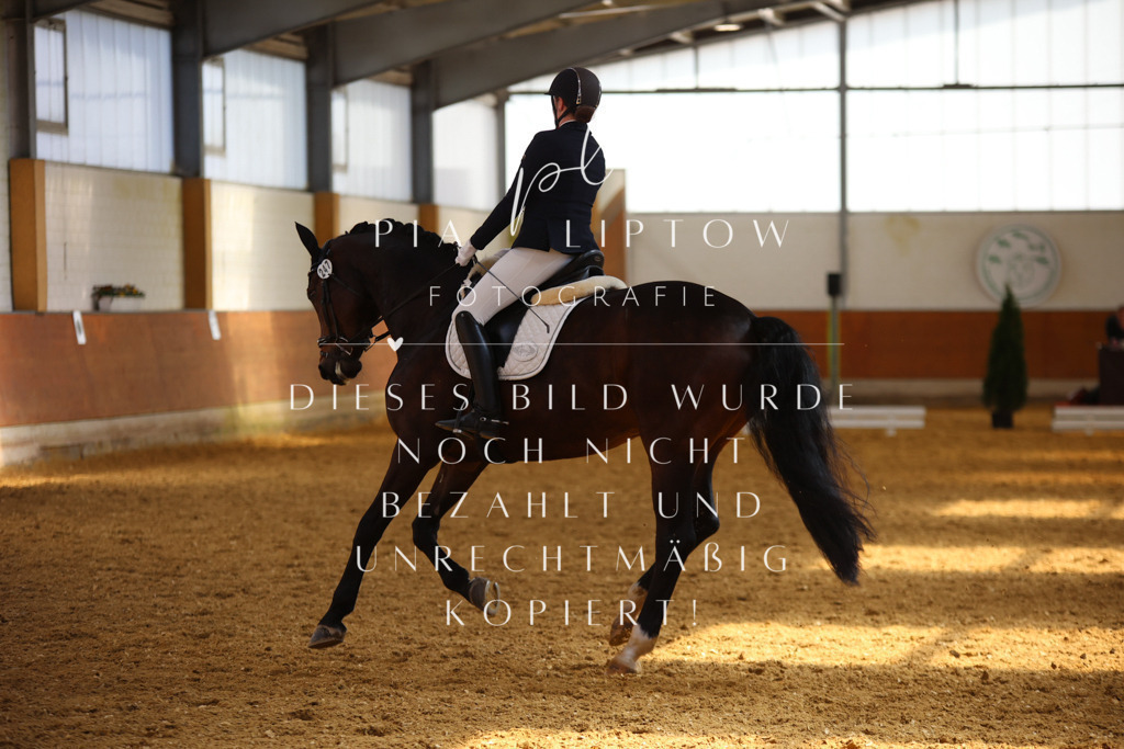 IMGT4784 | pl-fotografie