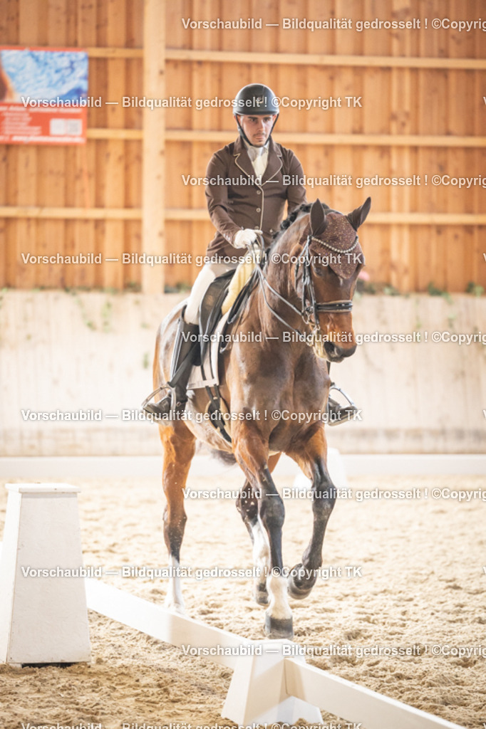 _D5A9362 | Emotionale Pferde- & People-Fotografie rund um Heidelberg, Leimen & Umgebung. Natürliche Fotos von Pferd, Mensch & Familie. Jetzt Termin sichern!