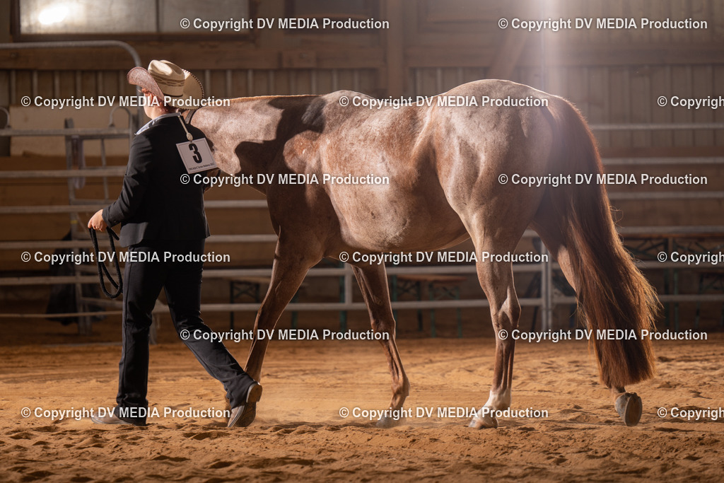 NID00103 | dv-media-shop - Realisiert mit Pictrs.com