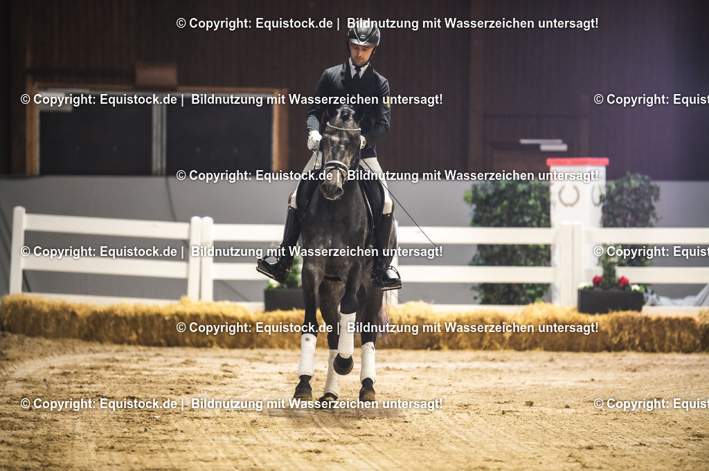 20240302_Hengstvorstellung_Marbach_TOMsPiC_0168 | equistock