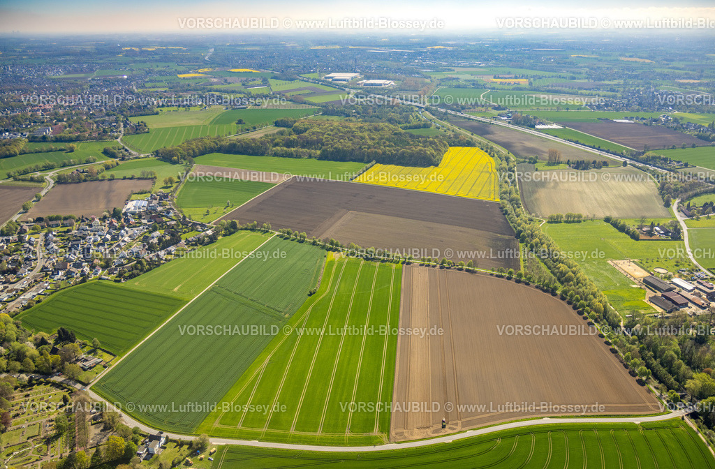 Bergkamen230406560 | Luftbild, Wiesen und Felder Freifläche, Mühlenstraße, Niederaden, Lünen, Ruhrgebiet, Nordrhein-Westfalen, Deutschland