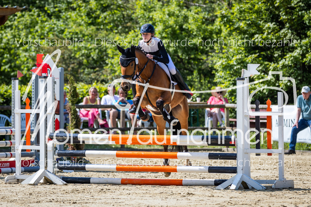 Donop24-ESpr-055 | MomenTaufnahmen Pferdesportfotos