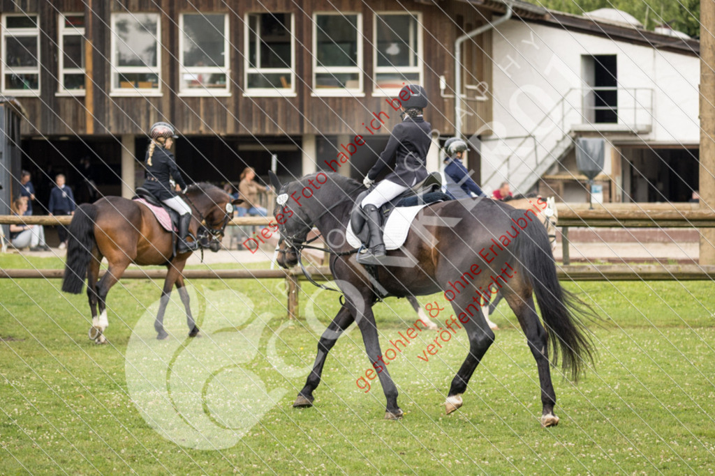 IMG_1636 | Sport-, Event- und Tierfotos in Profiqualität. Einfach auswählen, bestellen und herunterladen. Dein Moment – perfekt festgehalten.
