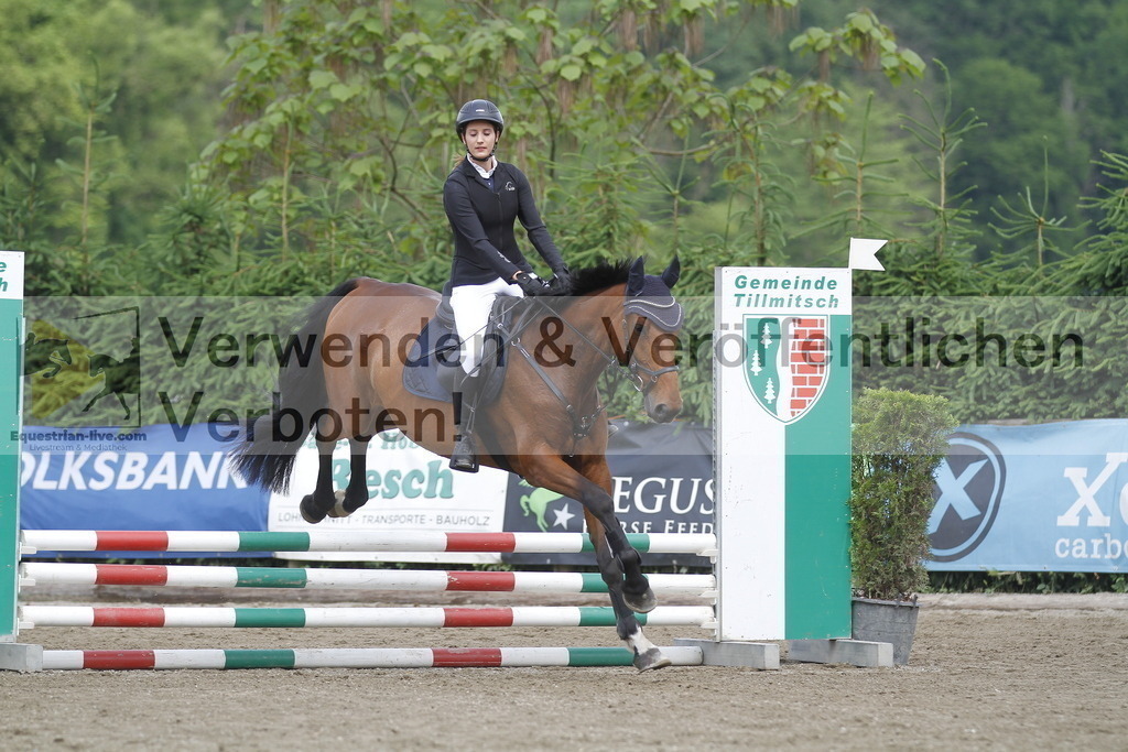 _MG_4341 | equestrian-live-com