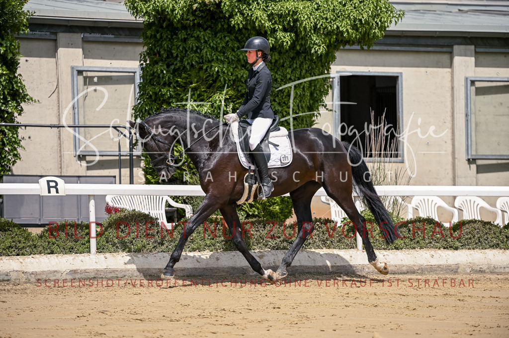 Schugtsche-Aluta25-48.Reitpferfdeprf.-186 | Schugtsche Fotografie - Realisiert mit Pictrs.com