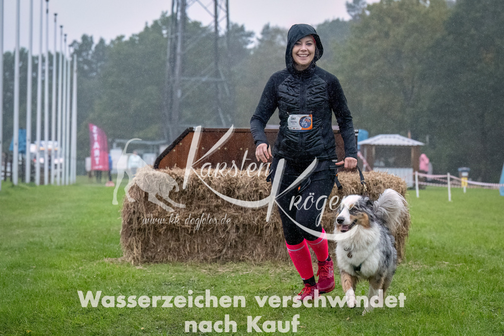 0912-_ZZ93565-Bearbeitet | kk-dogfotos