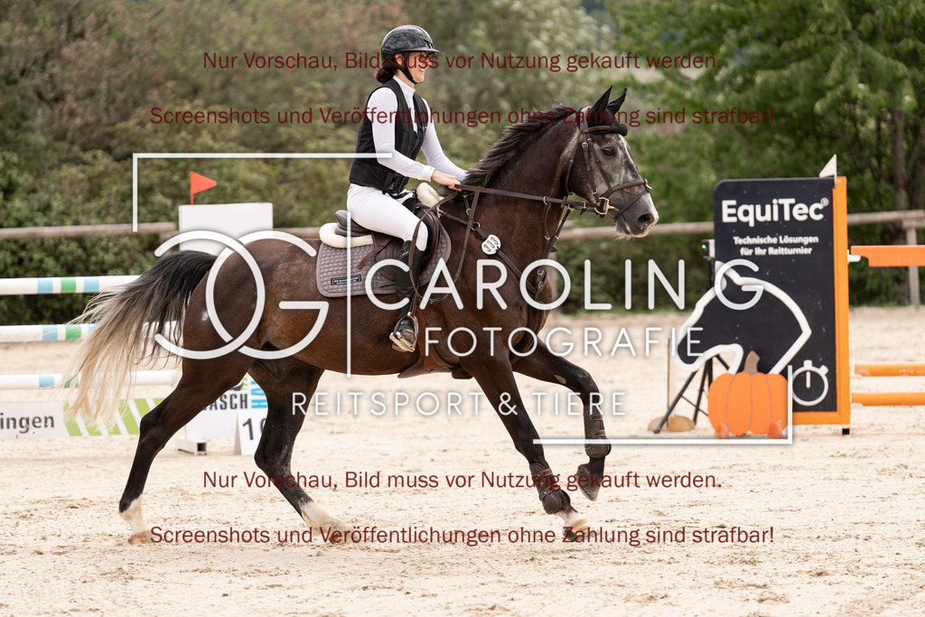DSC06480 | Springturnier_Teamchallege_Talheim_2026, Janine_Milz, Usted_vd_Donkhoeve