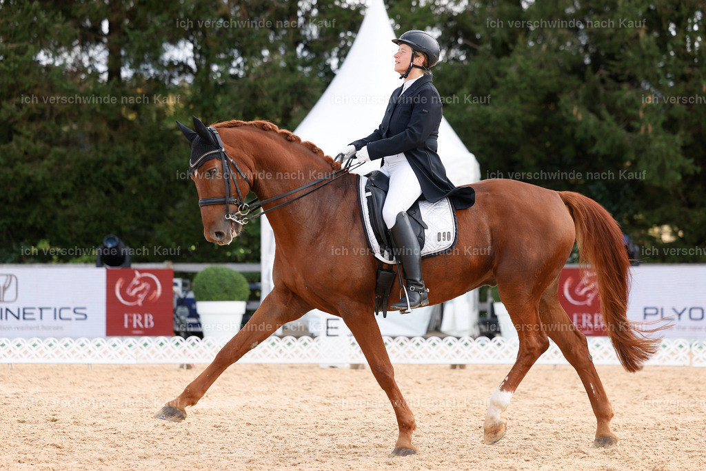 09_2-090-DRESSUR  S_  -StoibPH-5842 | working equitationturnier fotograf videograf stoibphotography marixx film working equitation deutschland reitsport turnierfotografie eventfotografie equestrian events