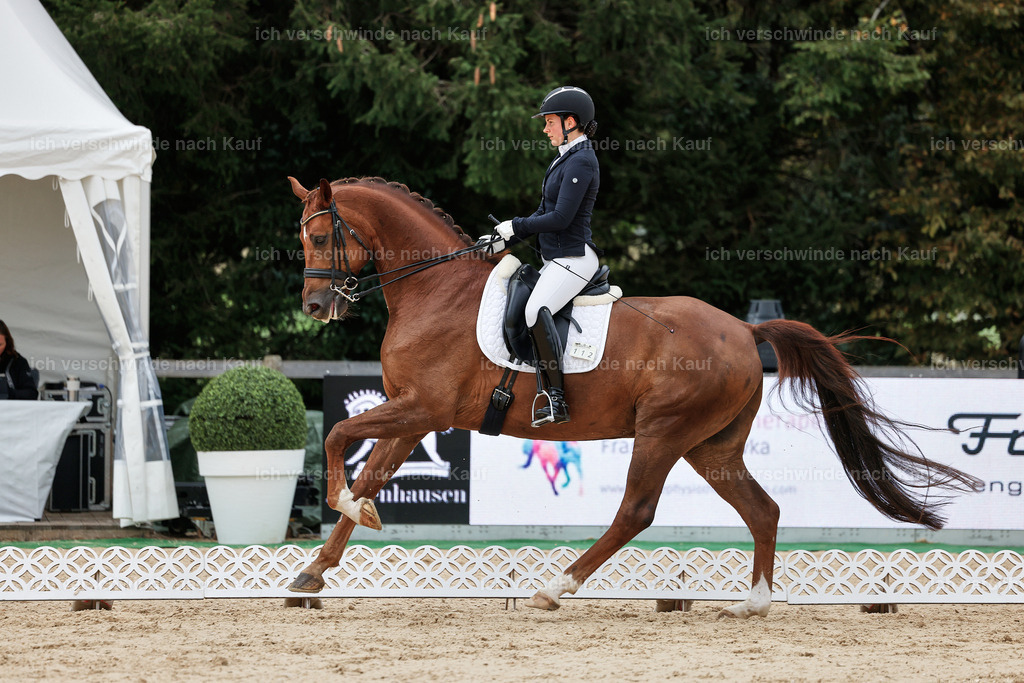 04_1-112-Dressur M__ -StoibPH-StoibPH-2665 | working equitationturnier fotograf videograf stoibphotography marixx film working equitation deutschland reitsport turnierfotografie eventfotografie equestrian events