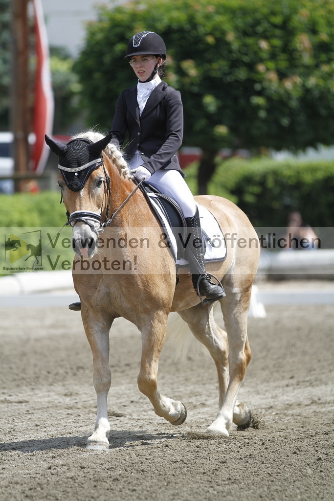 _MG_0047 | equestrian-live-com