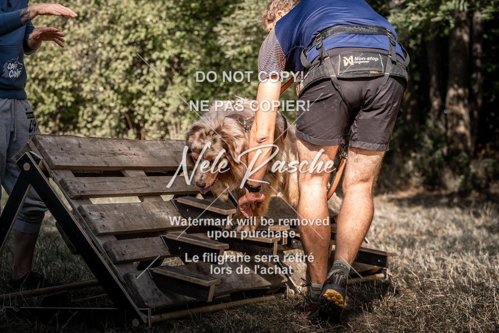 nelerasche_slaw24So_253 | nelerasche