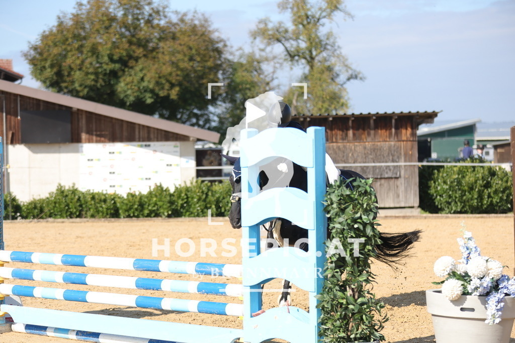 0P6A8034 | Willkommen bei Brunnmayr - Design & Fotografie – Ihrem Spezialisten für Reitturniere und Pferdeveranstaltungen in Oberösterreich, Salzburg und Bayern! Seit über 17 Jahren sind wir leidenschaftlich dabei.