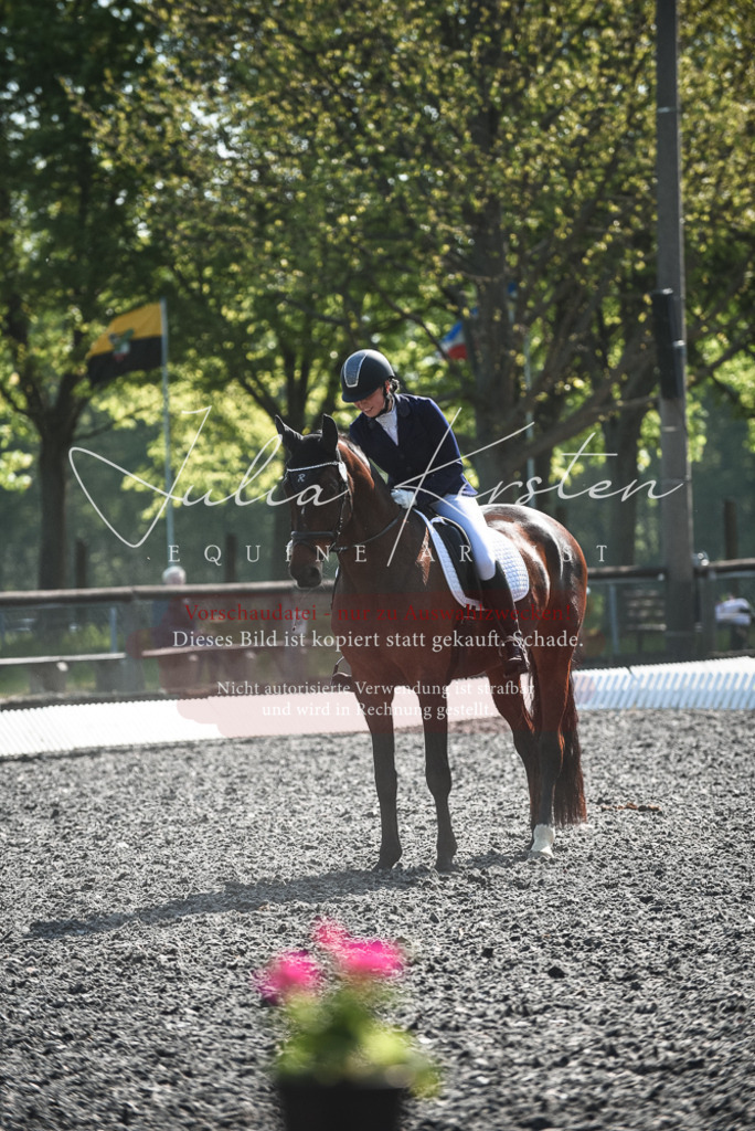 DSC_8797 | Pferde- und Turnierfotografie in Westsachsen. Pferdeportraits, Auftragszeichnungen und intuitive Kunst.