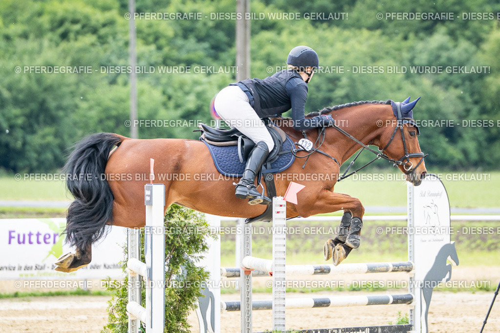 DSC04893 | Pferdegrafie