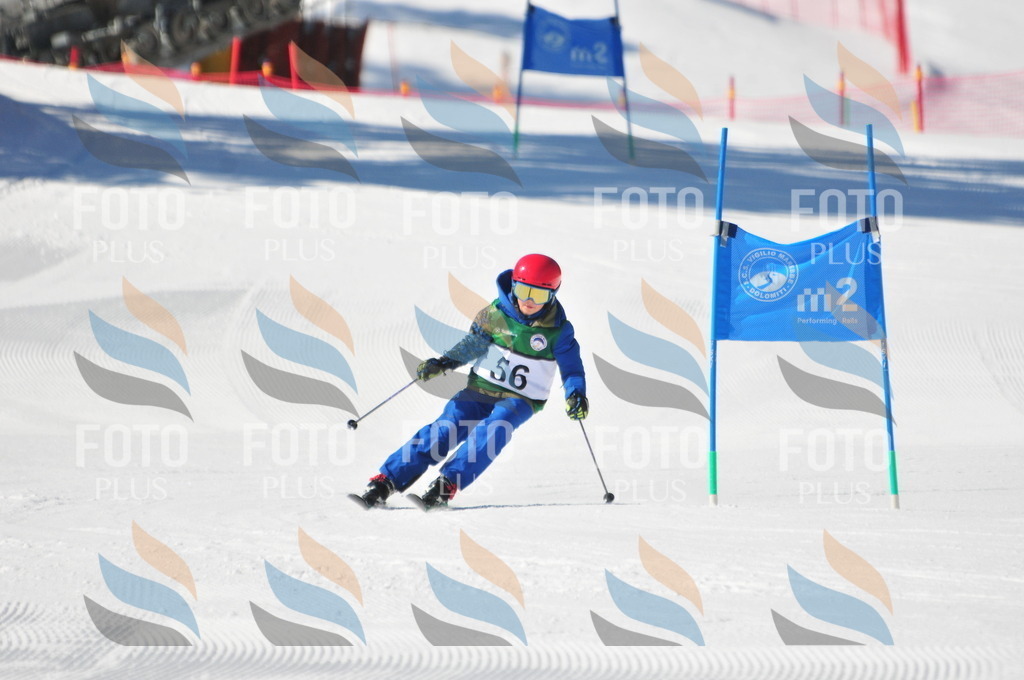 C2890 | holidayphoto