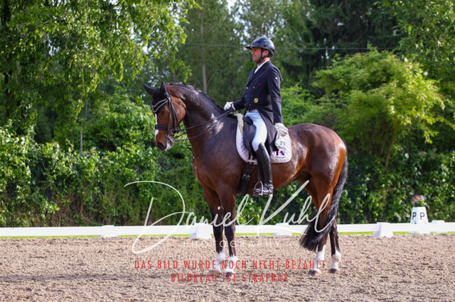 DKP41779 | Turnierfotos kaufen im Webshop von Daniel Kuhl Photography – entdecke professionelle Reitsportfotos aus Turnieren & Events. Hochwertige Turnierbilder online bestellen & sichern. Jetzt Fotos von Reitsportturnieren kaufen!