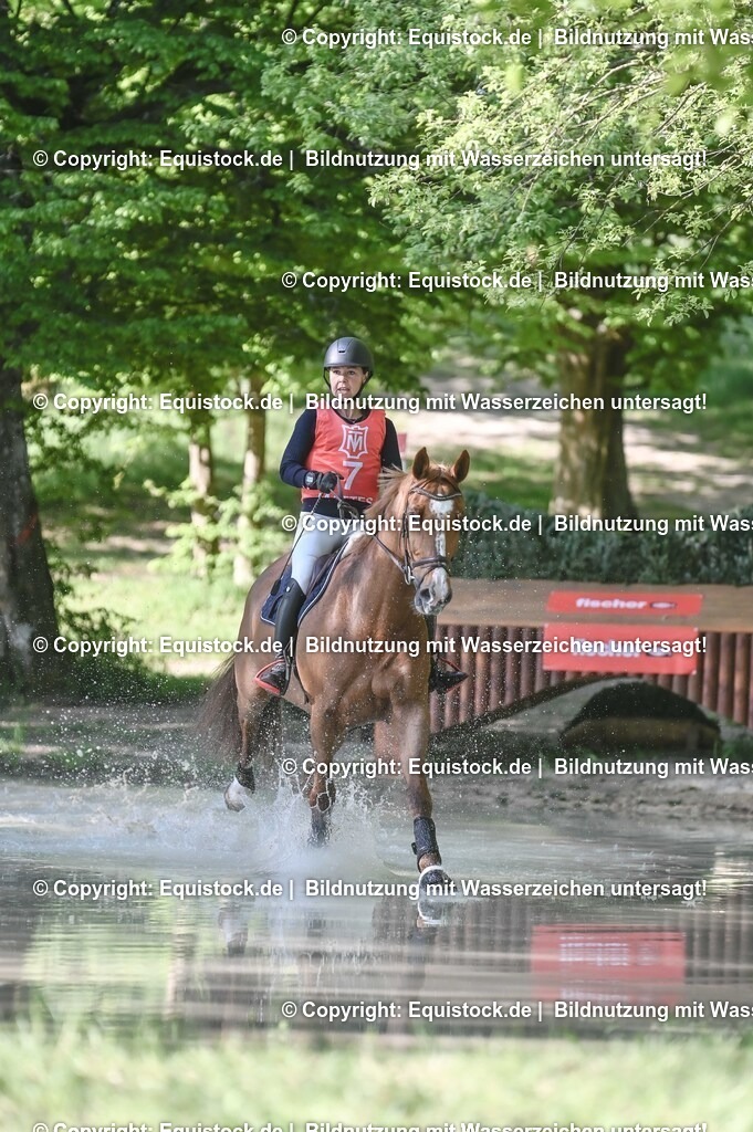 20250517_CCI2_Gelände_0315 | Foto: Thomas Hartig