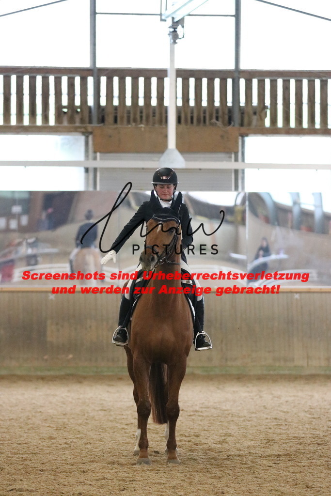 IMG_6641 | lmwpictures - Realisiert mit Pictrs.com