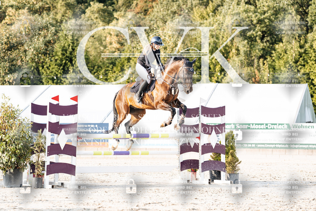 CK903519 | Turnierfotografie Pferdefotografie Trier Rheinland-Pfalz Pferdesport Reitsport Tierfotografie Sportfotografie Pferdevideo Pferdevideografie Equestrianvideography equestrianphotography  - Realisiert mit Pictrs.com