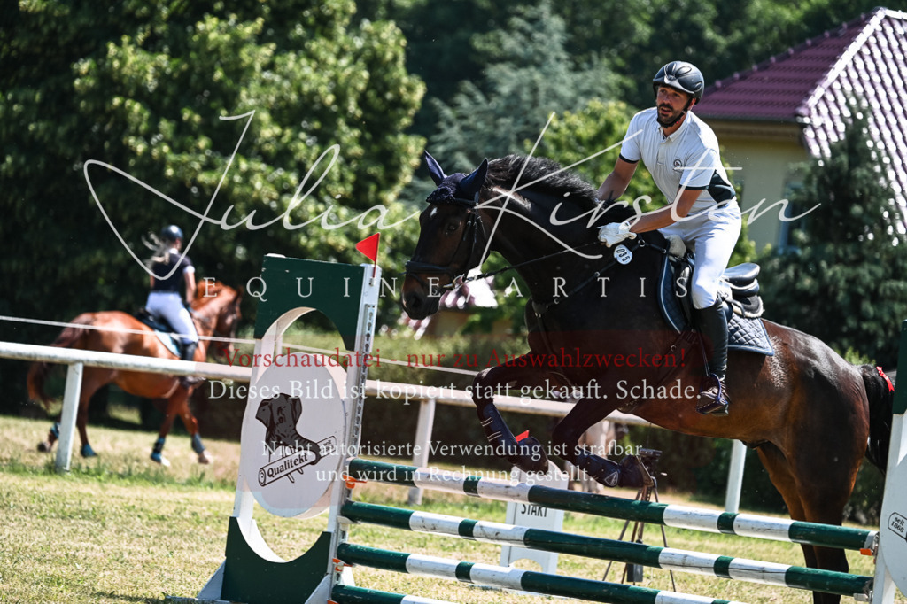 DSC_0323 | Pferde- und Turnierfotografie in Westsachsen. Pferdeportraits, Auftragszeichnungen und intuitive Kunst.