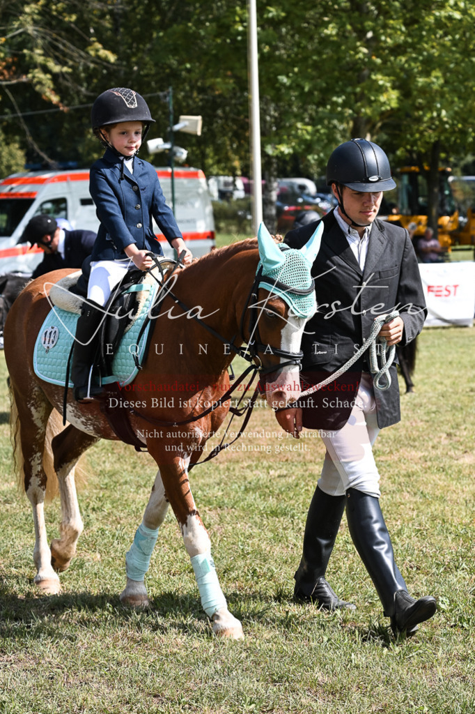 DSC_6871 | Pferde- und Turnierfotografie in Westsachsen. Pferdeportraits, Auftragszeichnungen und intuitive Kunst.