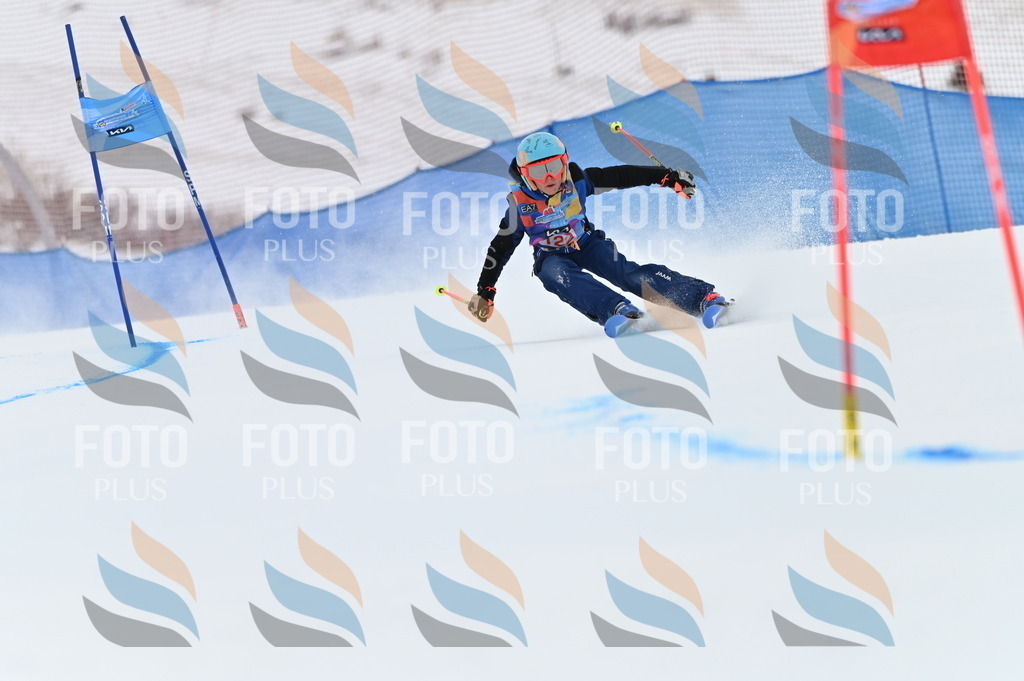 BGV_9946 | holidayphoto