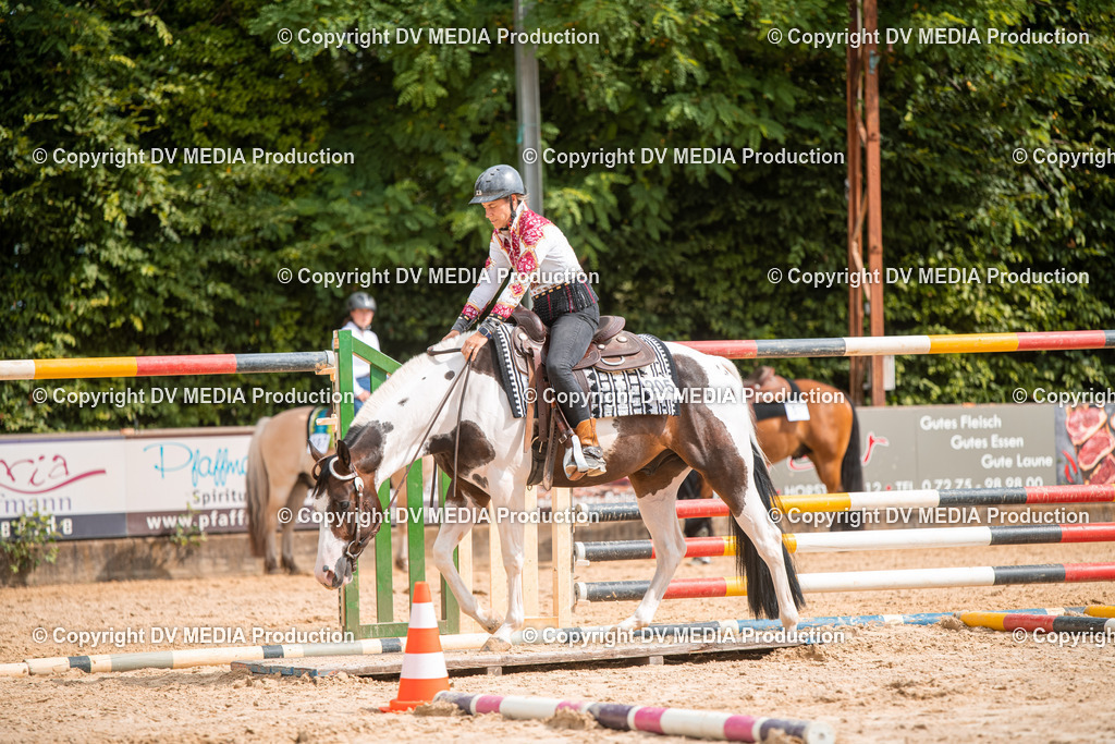 ZS2_7732 | dv-media-shop - Realisiert mit Pictrs.com