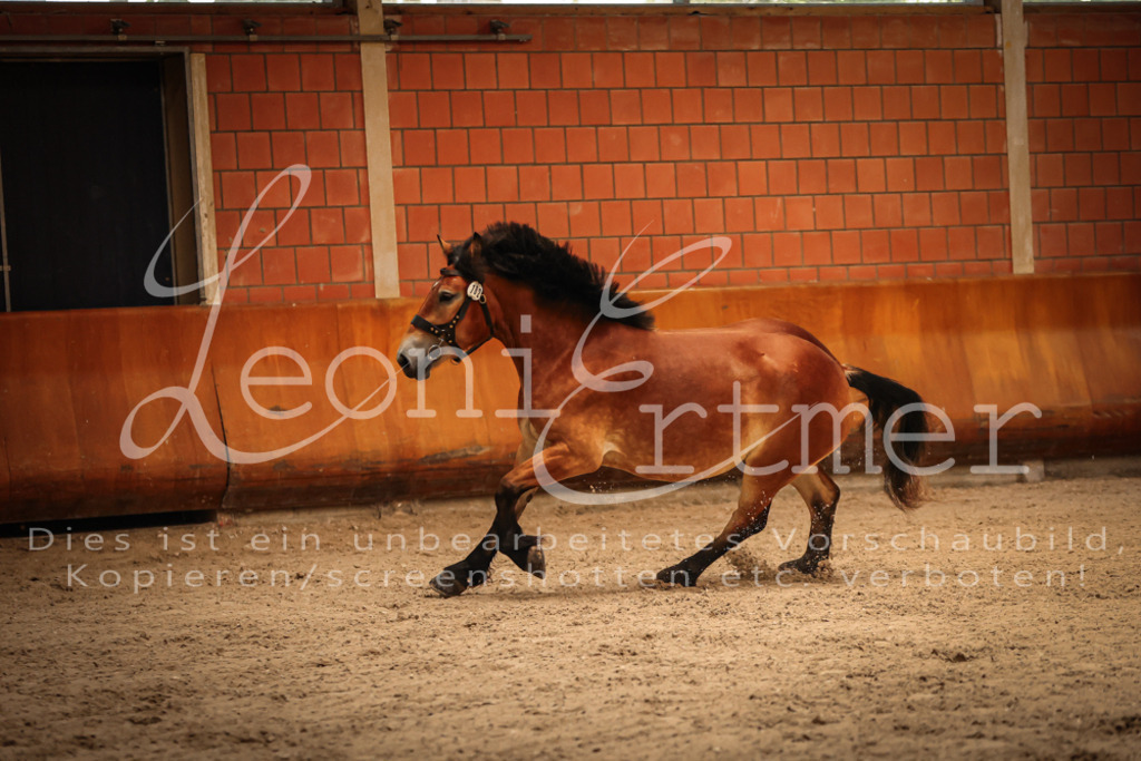 SaFL00098 | Leoni Ertmer Photography - Realisiert mit Pictrs.com