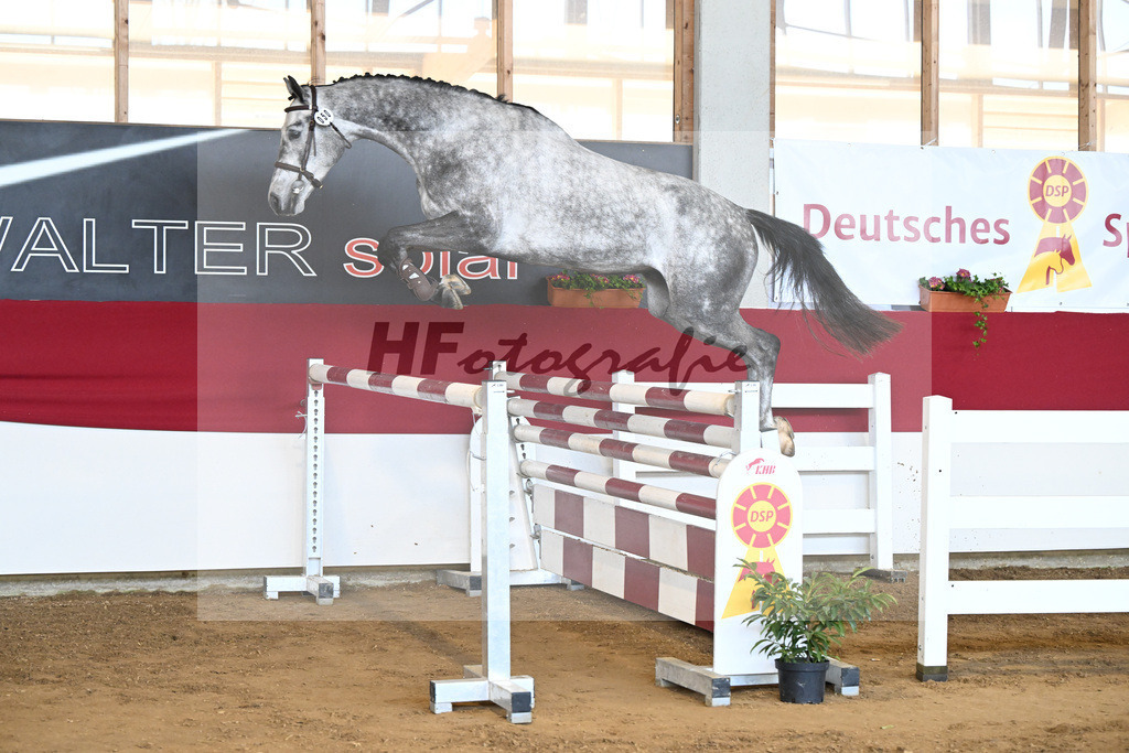 Kat-Nr. 50 Chuck Bass ZSZ v. Cahil_Hieber_7251150 | hf-fotografie - Realizzato con Pictrs.com