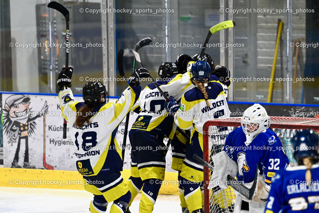 LADY HAWKS vs. WILDCATS PATERNION | Jubel Wildcats Mannschaft, #18 Brunner Tatjana WILDCATS PATERNION, LADY HAWKS vs. WILDCATS PATERNION, LADY HAWKS vs. WILDCATS PATERNION am 12.03.2025 in Steindorf (Ossiachersee Halle), Austria, (Photo by Bernd Stefan)