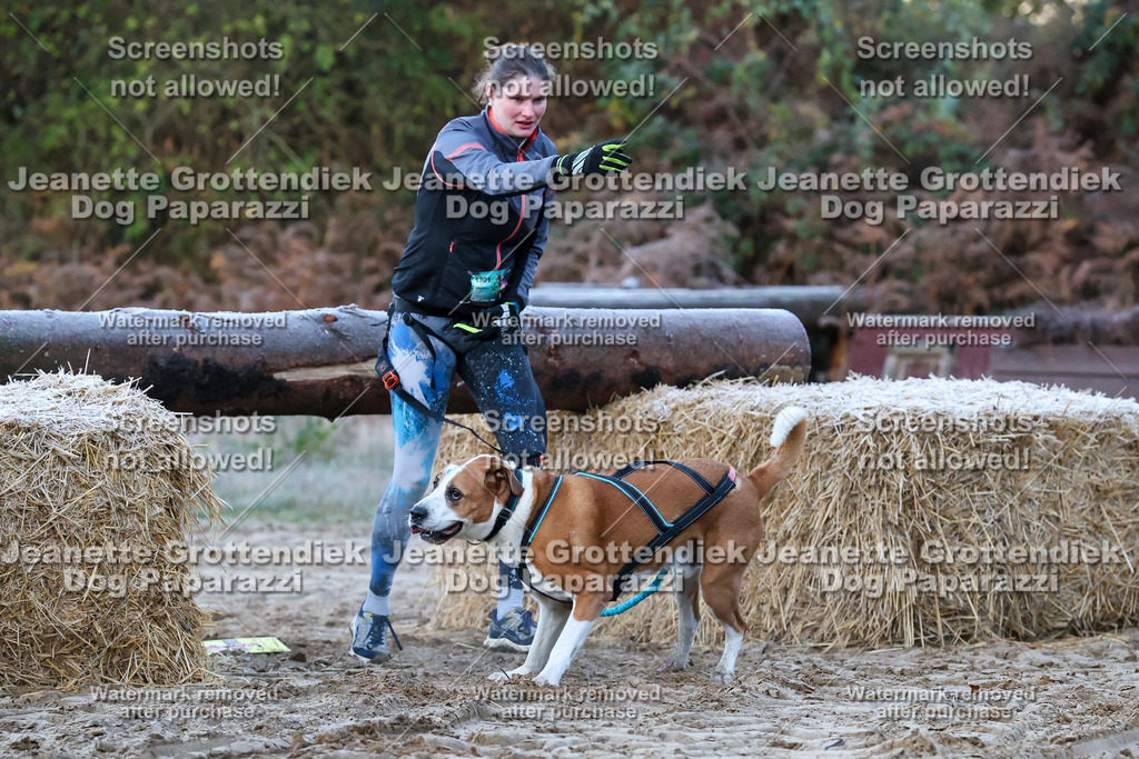 Dog Paparazzi - Strongdog 10-25-78 | Dog Paparazzi Jeanette Grottendiek Fotografie & Videografie - Realisiert mit Pictrs.com