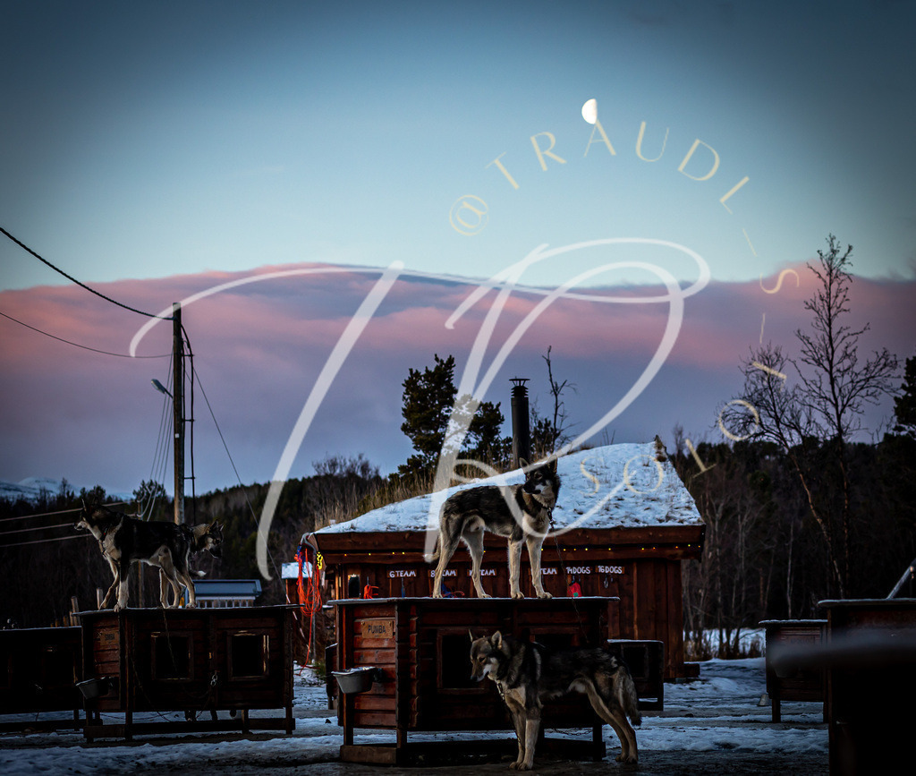 9969736E-FCB8-4377-8FA6-41E6957095AF | traudl_s_fotos