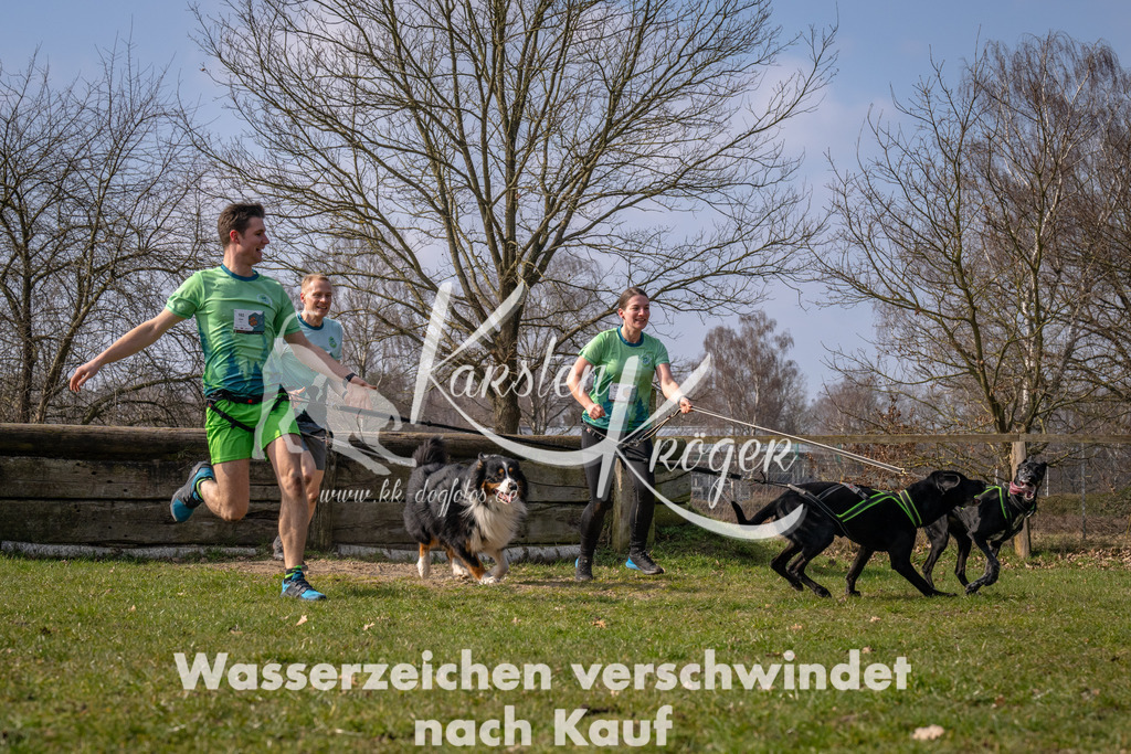 _ZZ90078 | kk-dogfotos