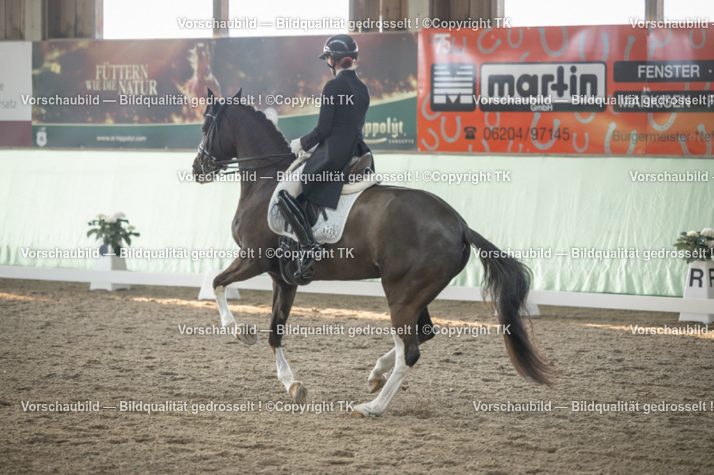 _D5A7870 | Emotionale Pferde- & People-Fotografie rund um Heidelberg, Leimen & Umgebung. Natürliche Fotos von Pferd, Mensch & Familie. Jetzt Termin sichern!