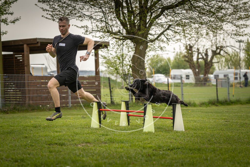 Pfotenfotografie_DV3A6635 | Hundefotografie, Tierfotograf, Pfotenfotografie, Fotoshooting Hund, Hunde Portrait, Hundesport, Hundeportraits, Heideshooting, Hunde, Sportfotograf, Hundefotograf, Turnierhundsport, THS,  - Realisiert mit Pictrs.com