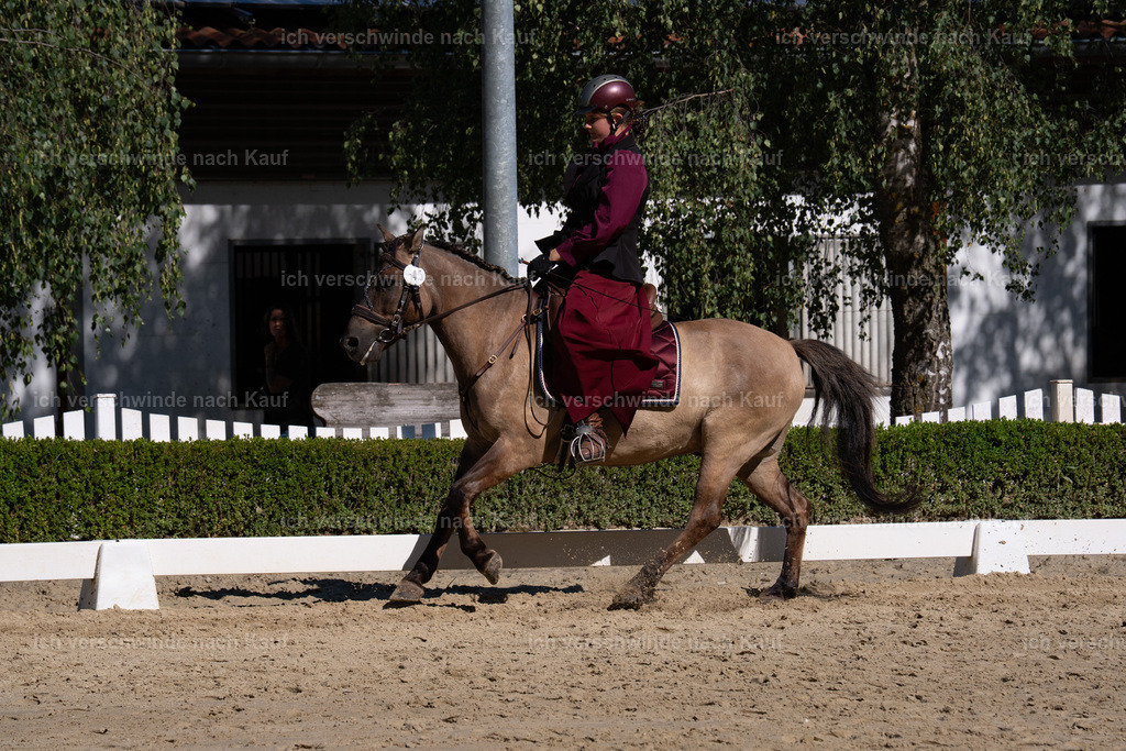 WA_DR_45_SinaFilmArt_IN01410 | working equitationturnier fotograf videograf stoibphotography marixx film working equitation deutschland reitsport turnierfotografie eventfotografie equestrian events