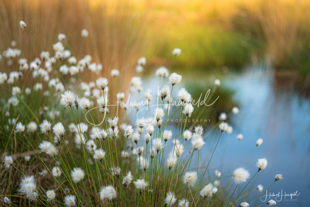 DSC07192 | Landschaftsfotografie, Naturfotografie - Realisiert mit Pictrs.com
