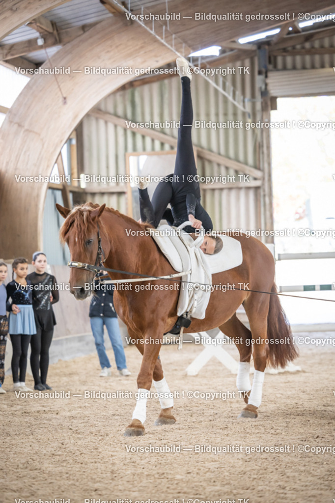 _D5A4307 | Emotionale Pferde- & People-Fotografie rund um Heidelberg, Leimen & Umgebung. Natürliche Fotos von Pferd, Mensch & Familie. Jetzt Termin sichern!