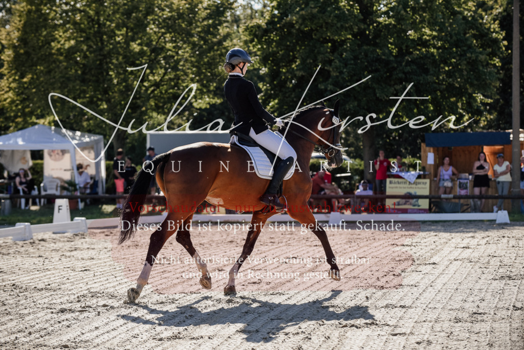 DSC_0336 | Pferde- und Turnierfotografie in Westsachsen. Pferdeportraits, Auftragszeichnungen und intuitive Kunst.