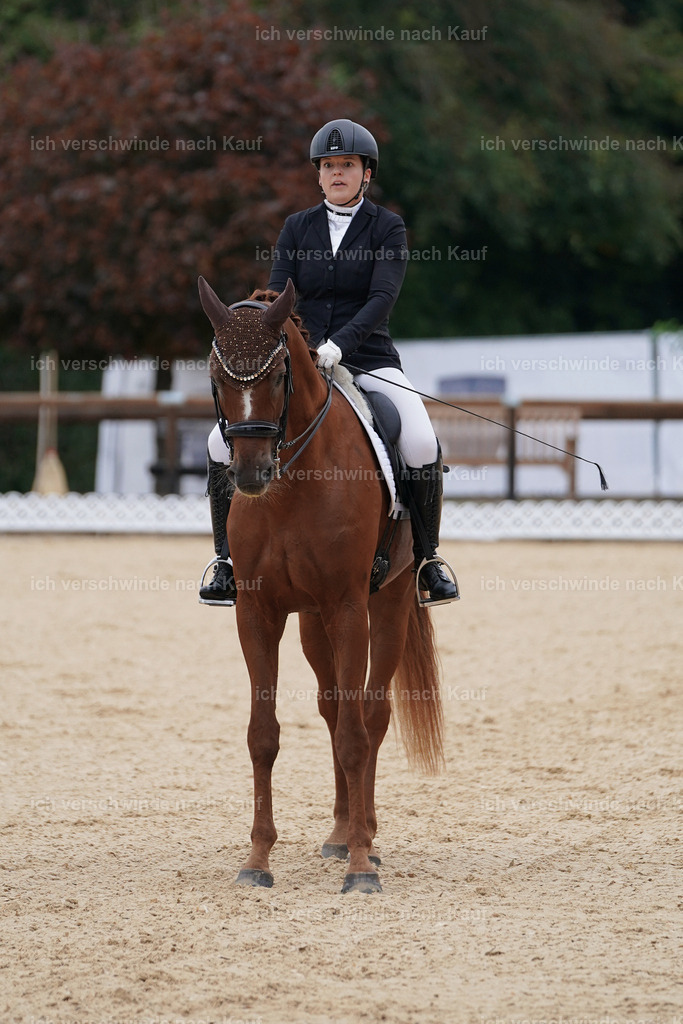 3-111-Dressur M_-Marixx-2220 | working equitationturnier fotograf videograf stoibphotography marixx film working equitation deutschland reitsport turnierfotografie eventfotografie equestrian events