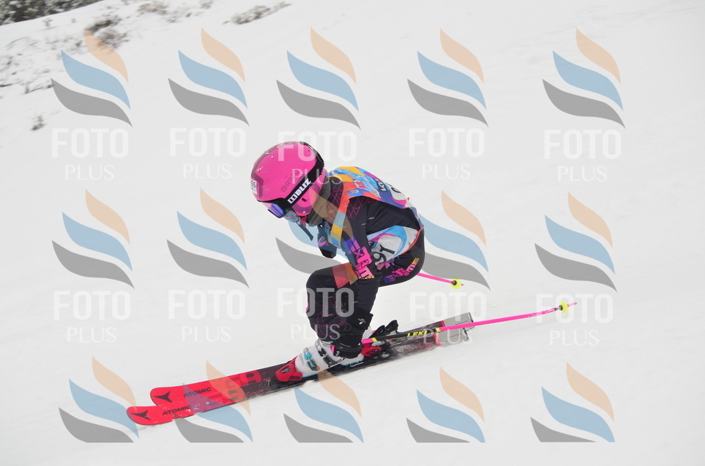 C1302 | holidayphoto