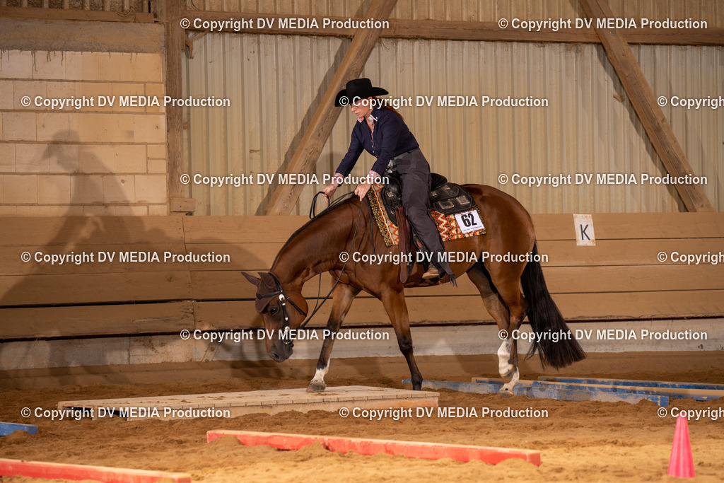 NID00541 | dv-media-shop - Realisiert mit Pictrs.com