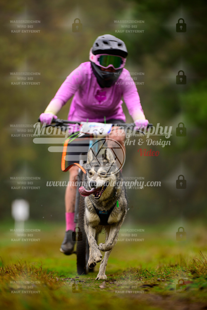 MompixPhotography_Bischwiller2025_Bike-84 | mompixphotography