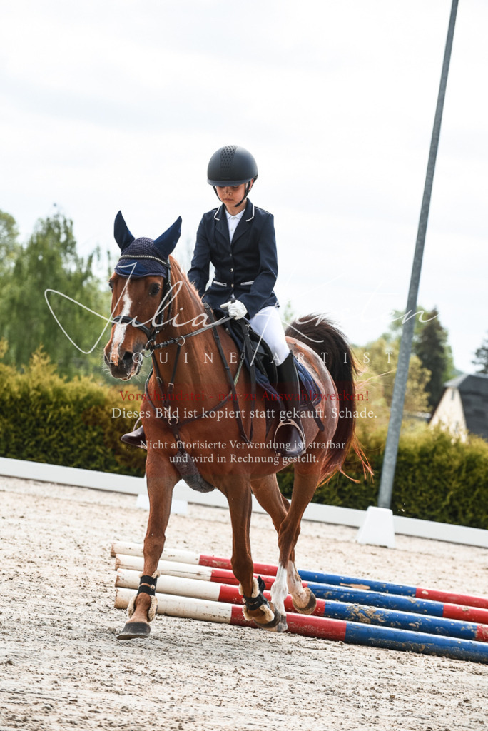 20230518_JK-Röhrsdorf-10-008 | Pferde- und Turnierfotografie in Westsachsen. Pferdeportraits, Auftragszeichnungen und intuitive Kunst.