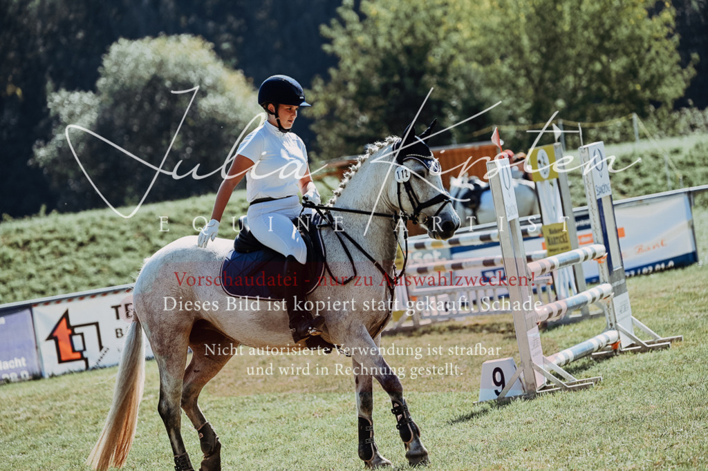 DSC_6100 | Pferde- und Turnierfotografie in Westsachsen. Pferdeportraits, Auftragszeichnungen und intuitive Kunst.