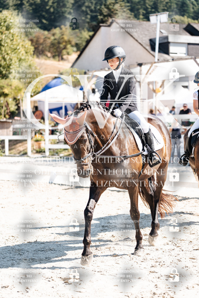 CK902958 | Turnierfotografie Pferdefotografie Trier Rheinland-Pfalz Pferdesport Reitsport Tierfotografie Sportfotografie Pferdevideo Pferdevideografie Equestrianvideography equestrianphotography  - Realisiert mit Pictrs.com