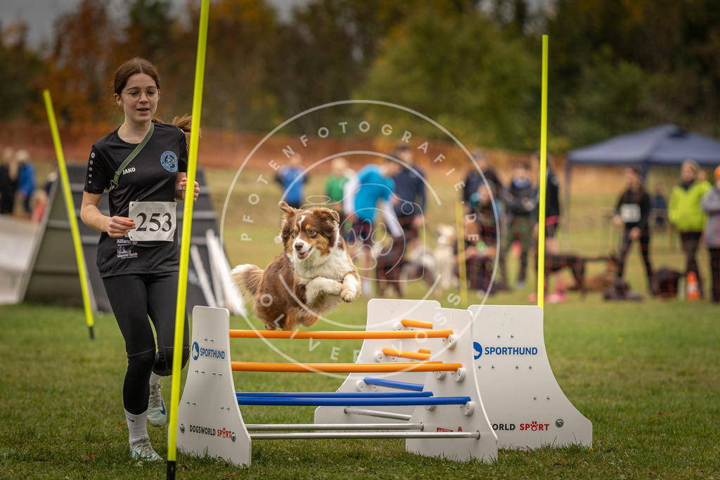 Pfotenfotografie_DV3A6192 | Hundefotografie, Tierfotograf, Pfotenfotografie, Fotoshooting Hund, Hunde Portrait, Hundesport, Hundeportraits, Heideshooting, Hunde, Sportfotograf, Hundefotograf, Turnierhundsport, THS,  - Realisiert mit Pictrs.com