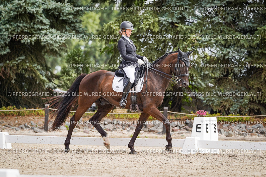 DSC03427 | Pferdegrafie